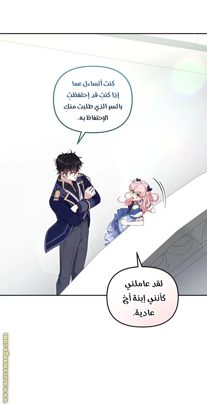 الصفحة 42