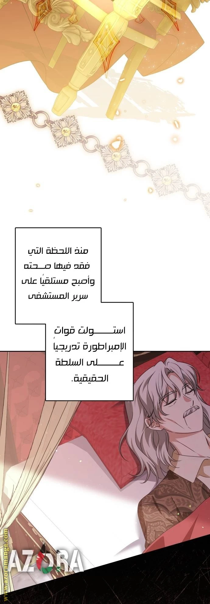 الصفحة 45