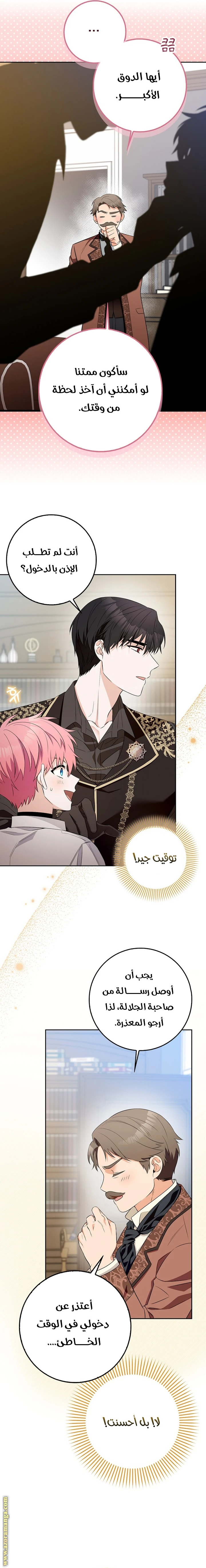 الصفحة 17
