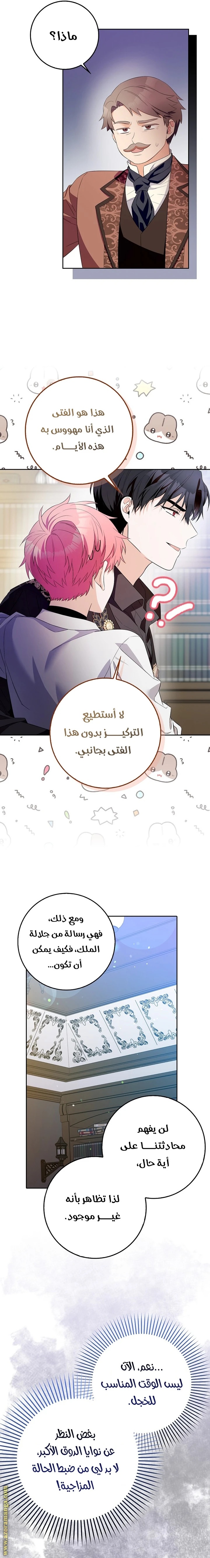 الصفحة 21