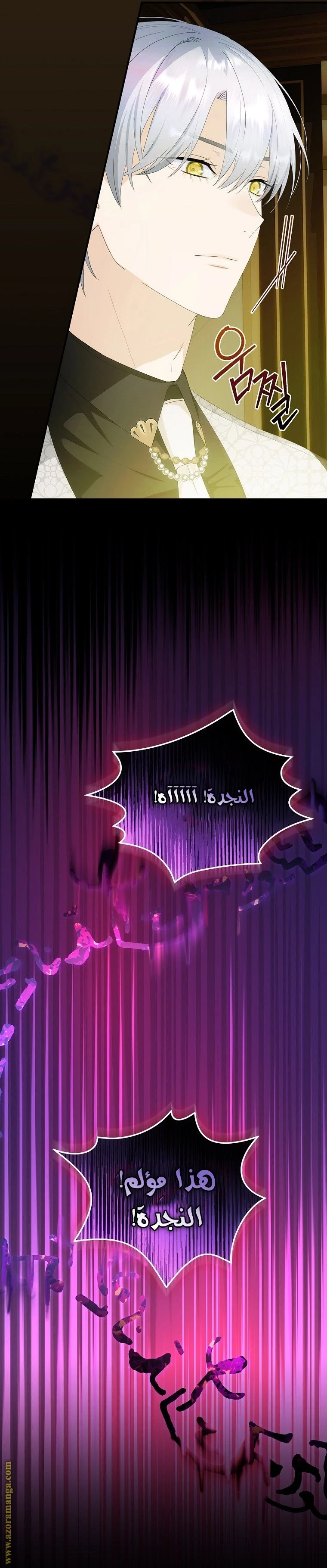 الصفحة 17