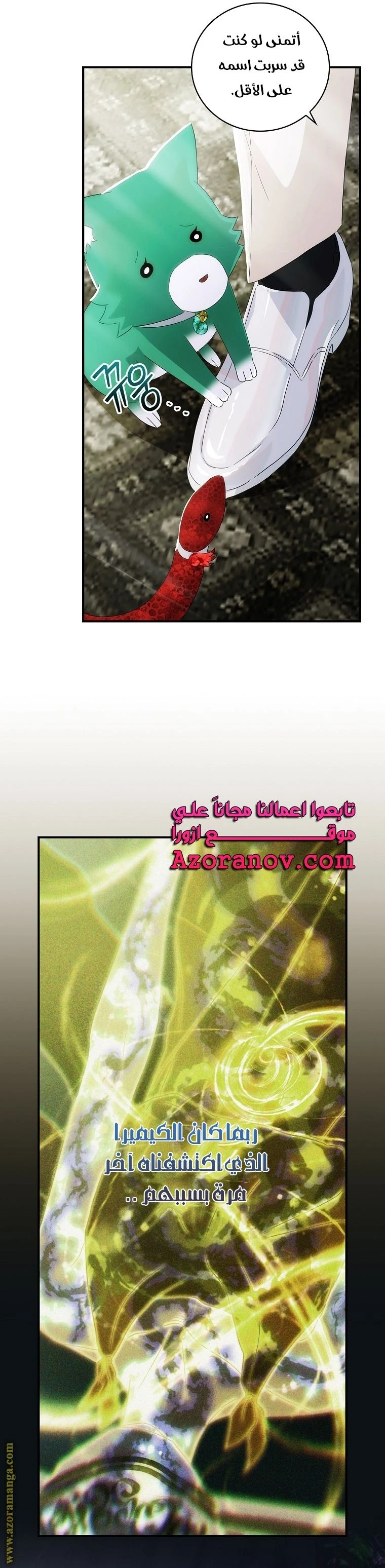 الصفحة 23