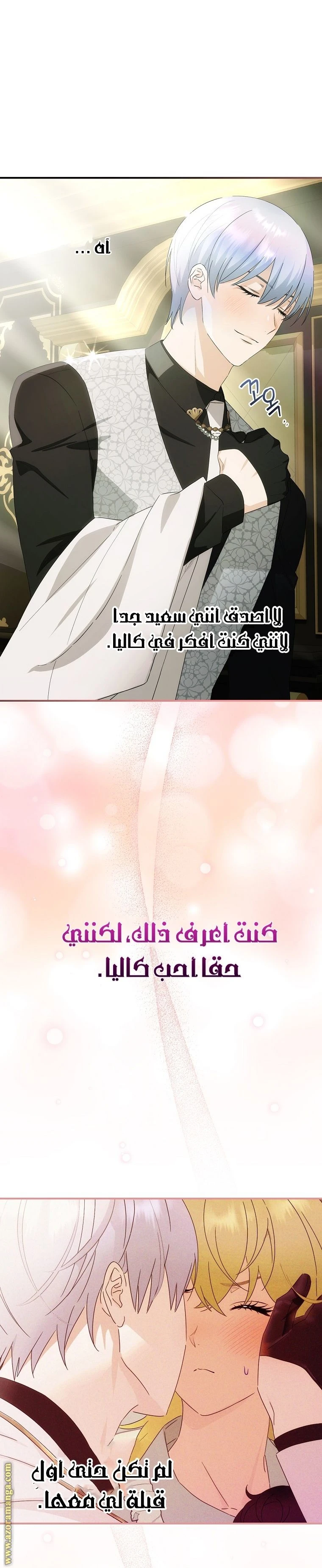 الصفحة 26