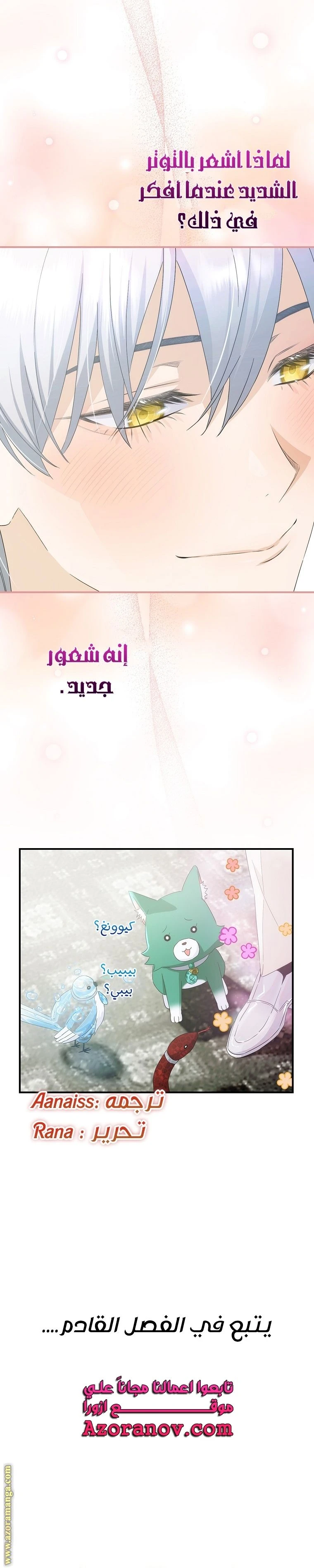 الصفحة 27