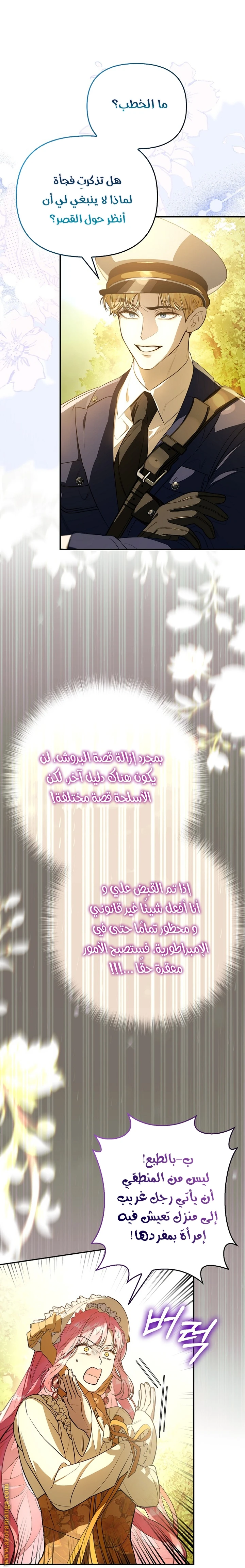 الصفحة 29
