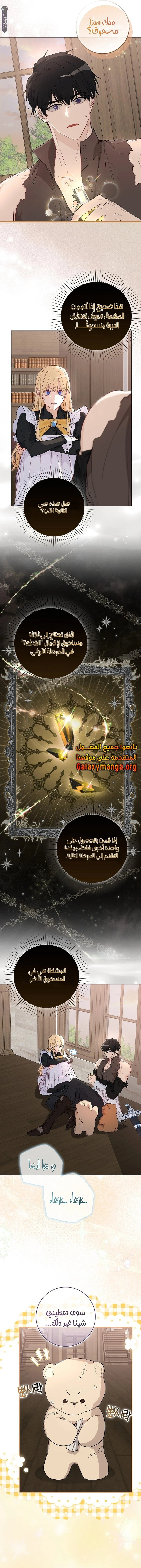 الصفحة 13