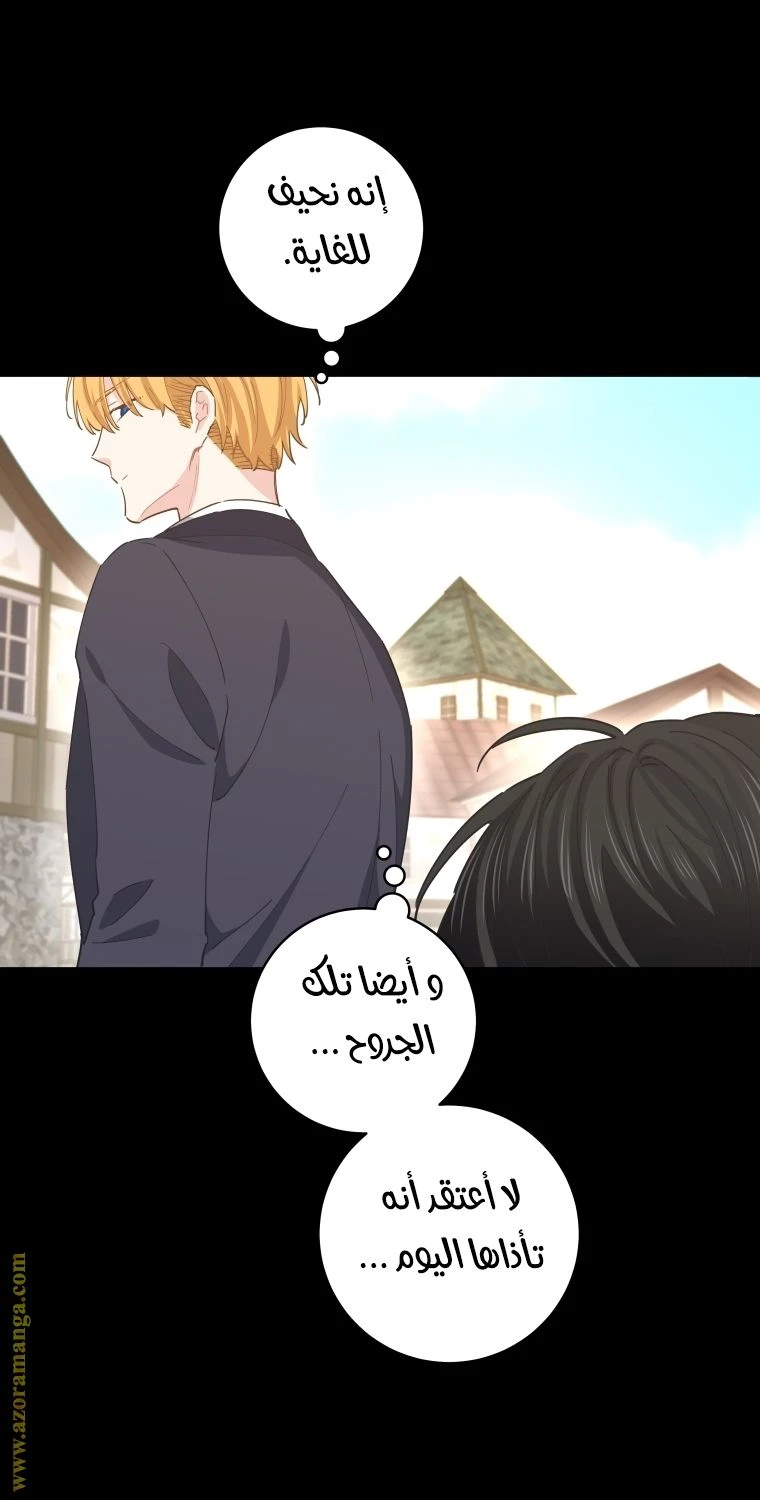 الصفحة 20