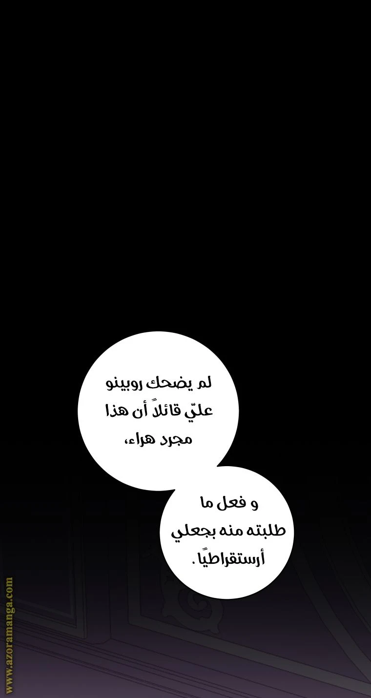الصفحة 26