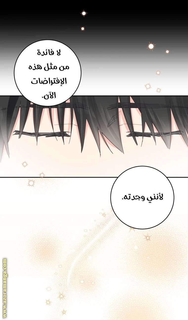 الصفحة 35