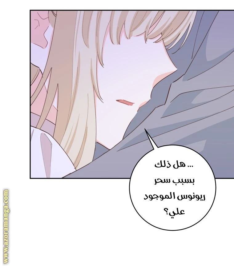 الصفحة 41