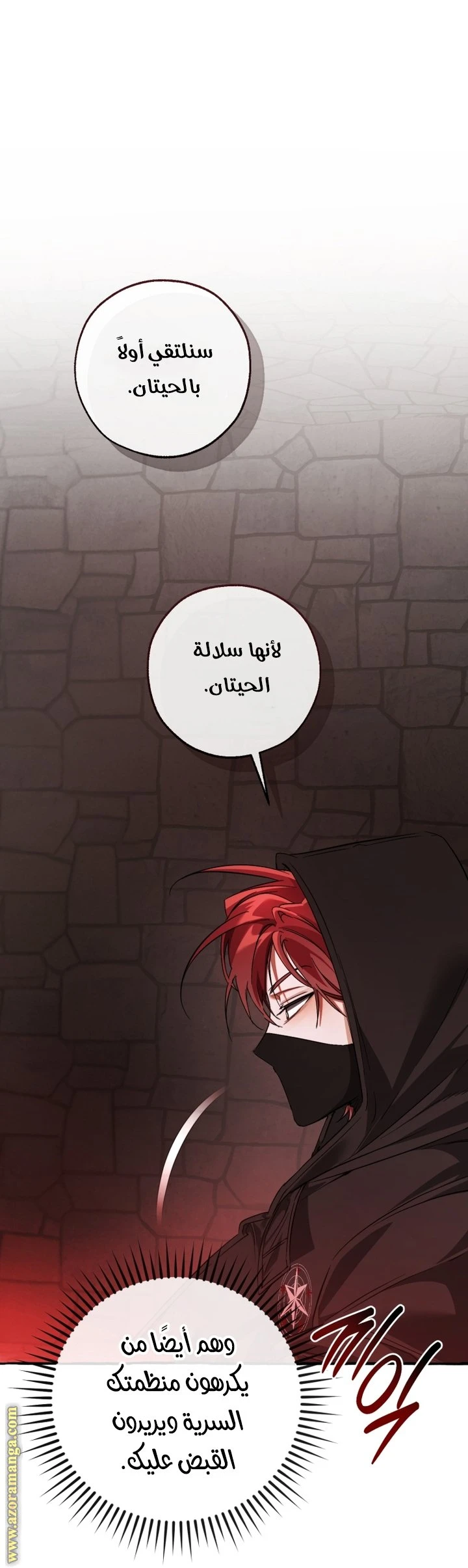 الصفحة 11