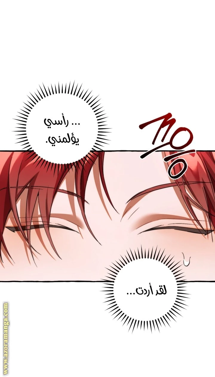الصفحة 20