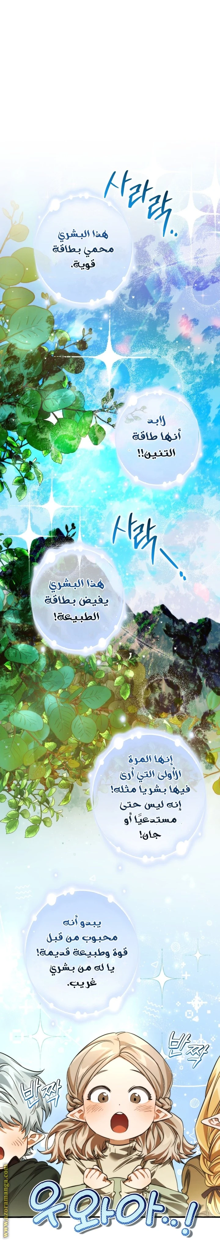الصفحة 24