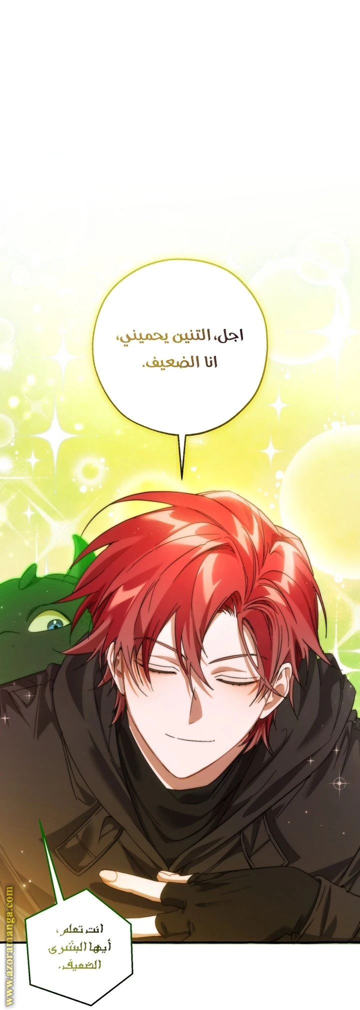 الصفحة 25