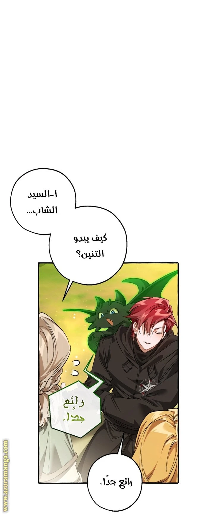 الصفحة 29