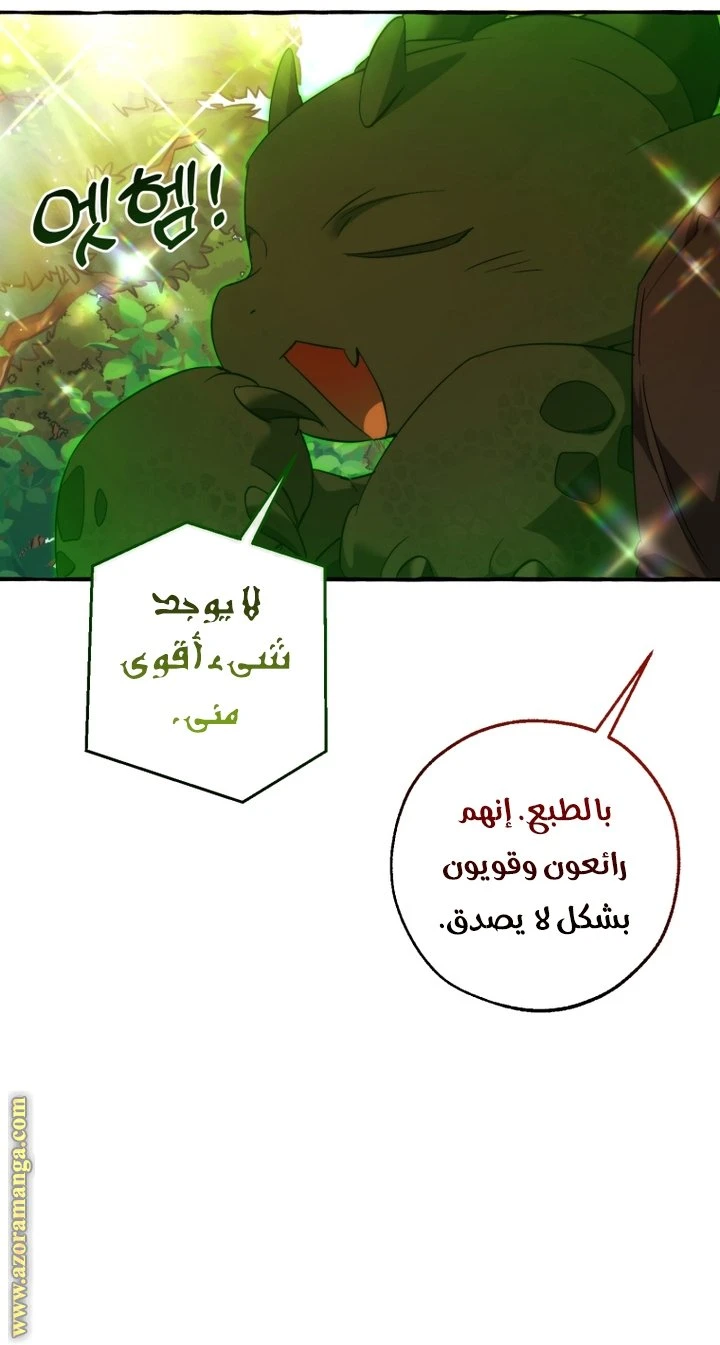 الصفحة 31