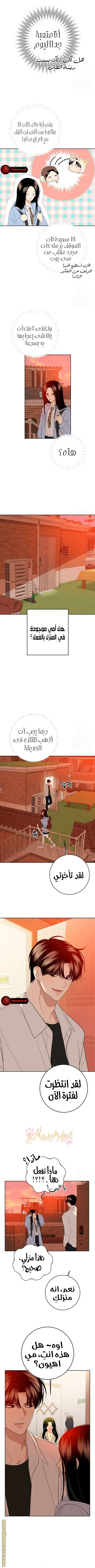 الصفحة 10