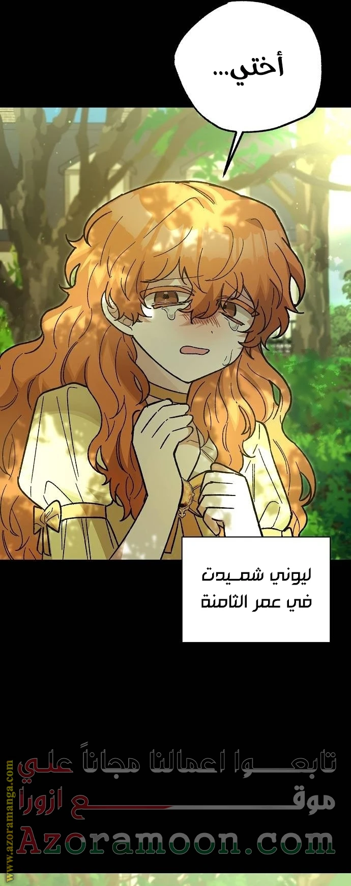 الصفحة 20
