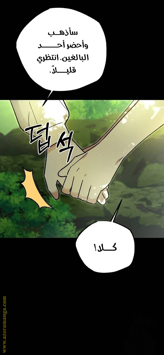 الصفحة 24