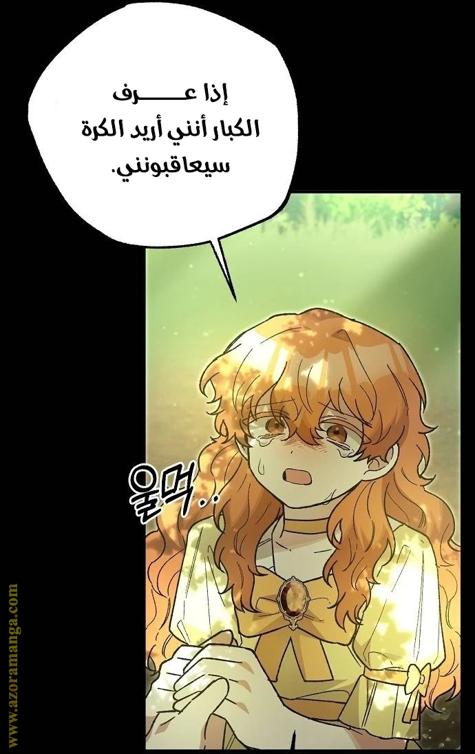 الصفحة 25