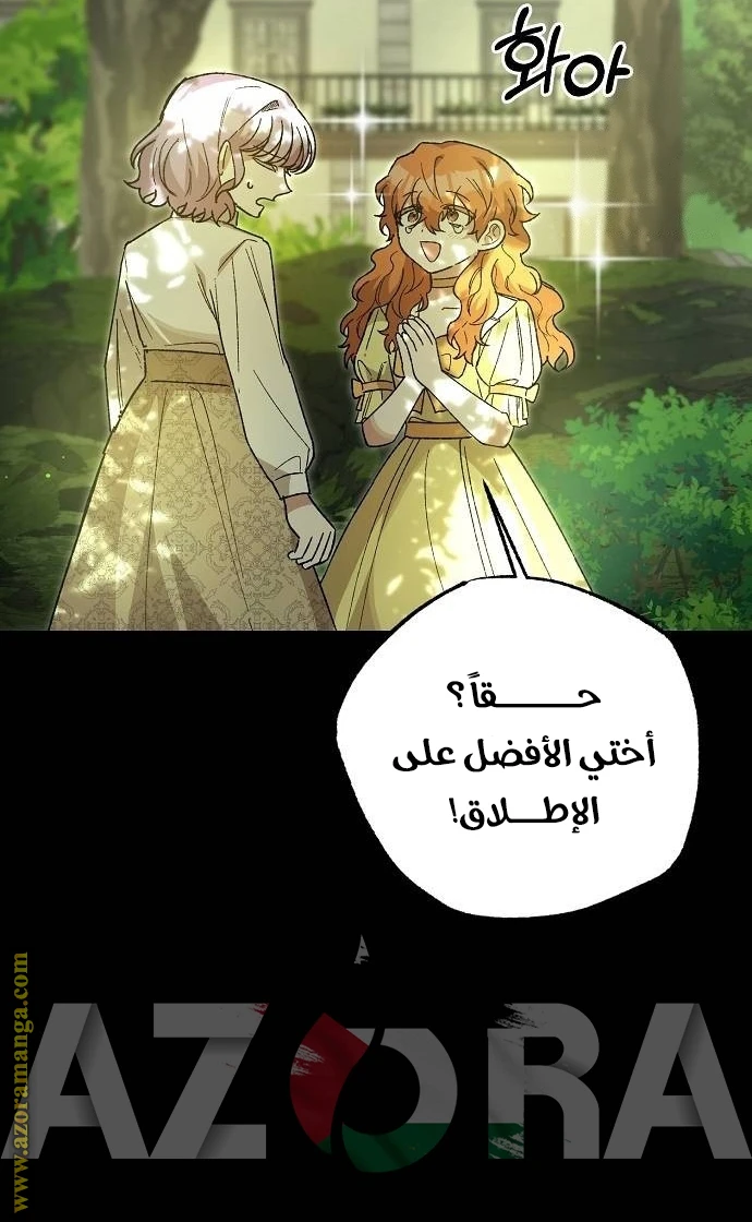 الصفحة 27