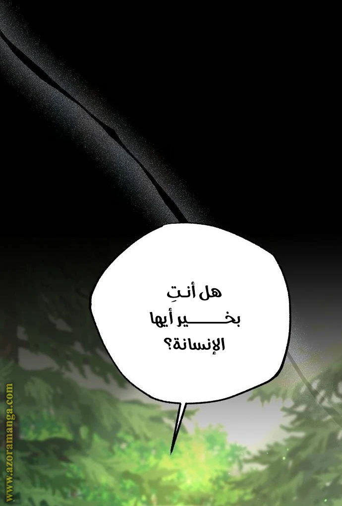 الصفحة 40