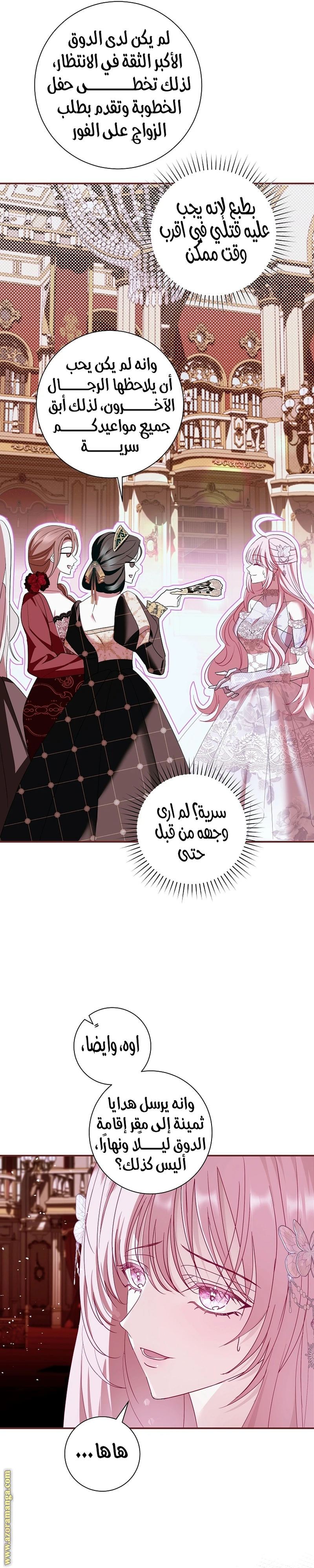 الصفحة 17