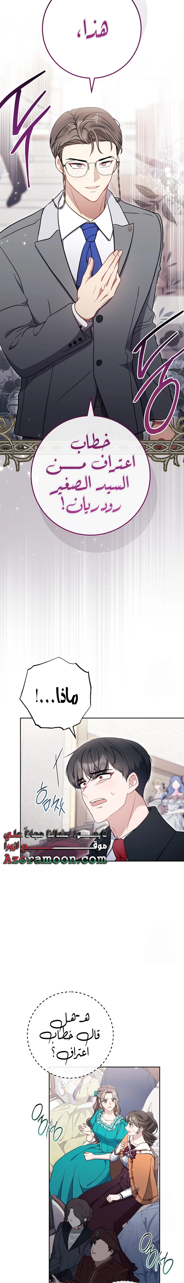 الصفحة 17