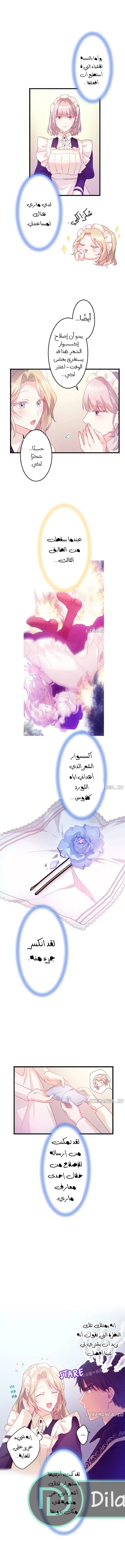 الصفحة 7