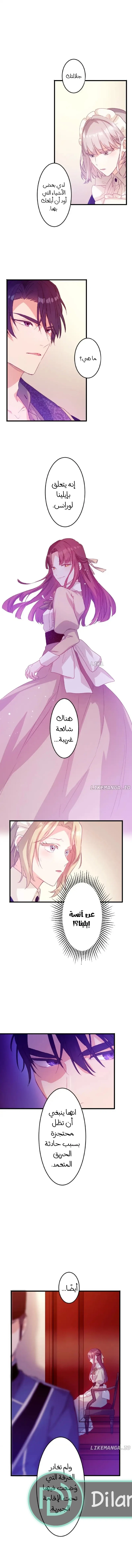 الصفحة 8