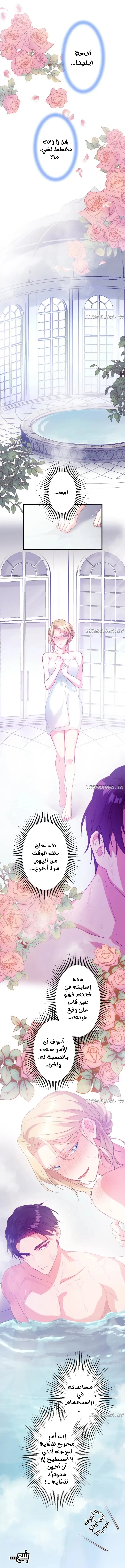 الصفحة 10