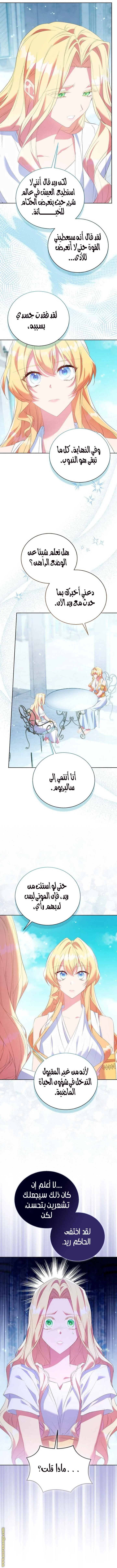 الصفحة 19