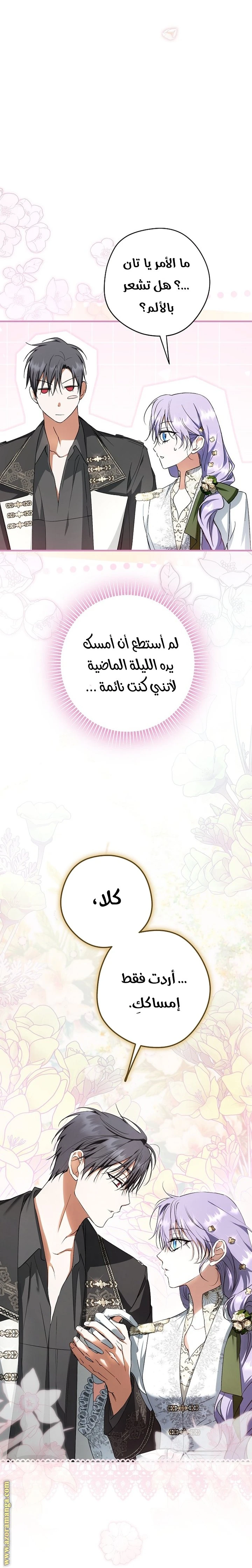 الصفحة 25