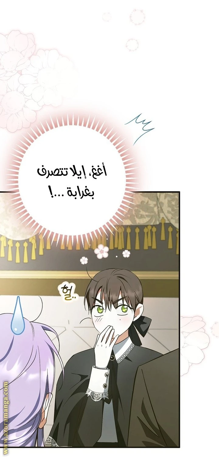 الصفحة 27