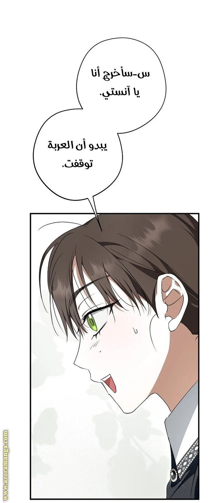 الصفحة 29