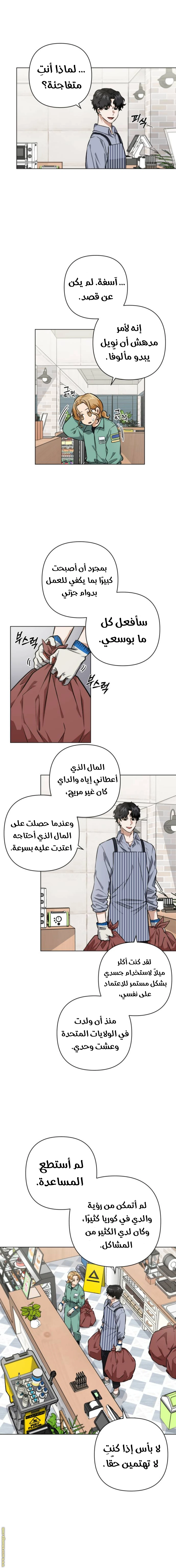 الصفحة 13