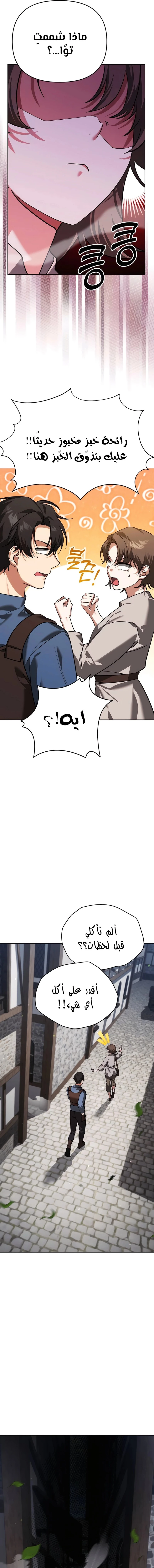 الصفحة 17