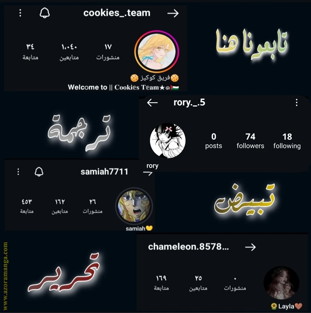 الصفحة 13