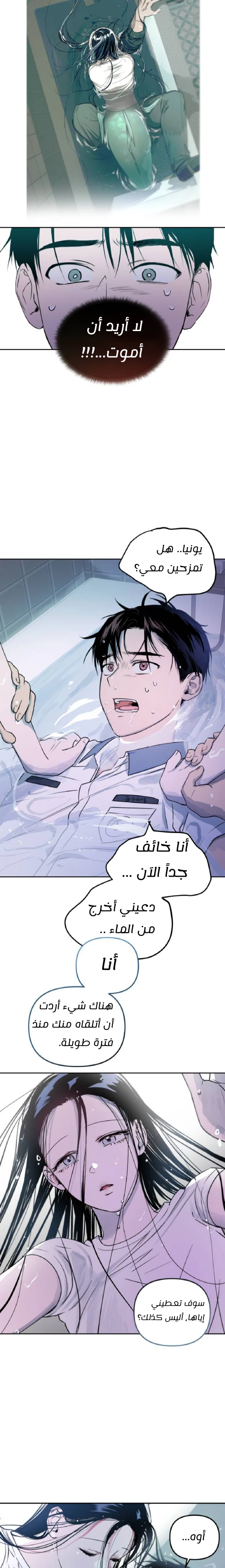 الصفحة 13