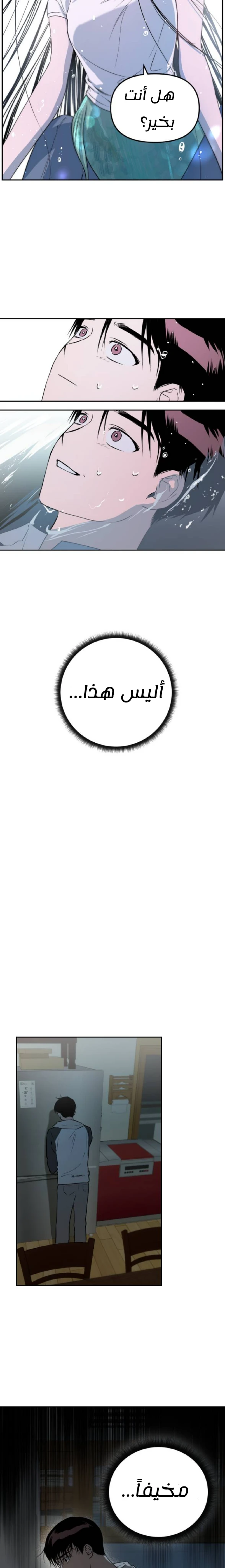 الصفحة 15