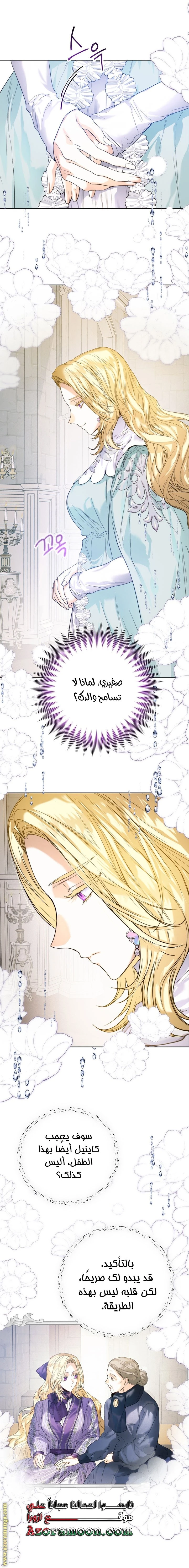 الصفحة 26