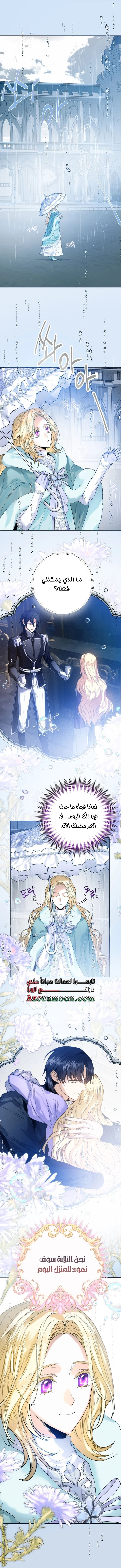 الصفحة 31