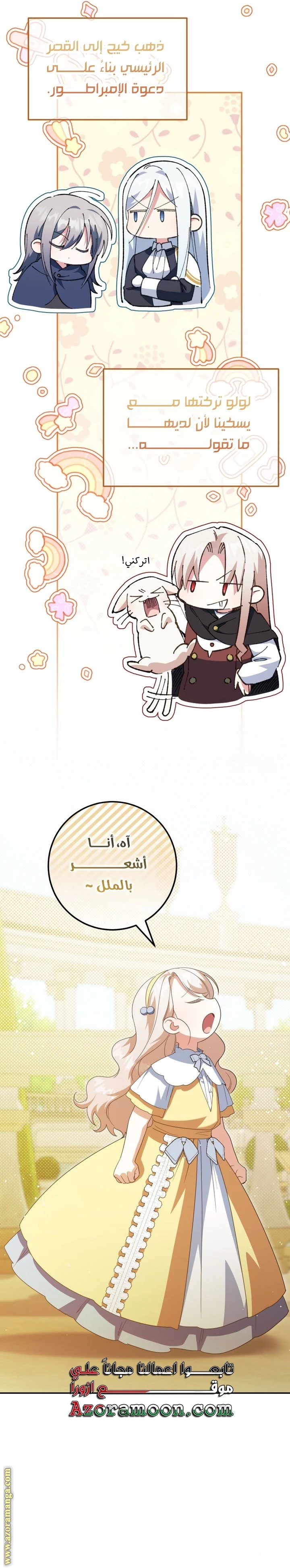 الصفحة 17