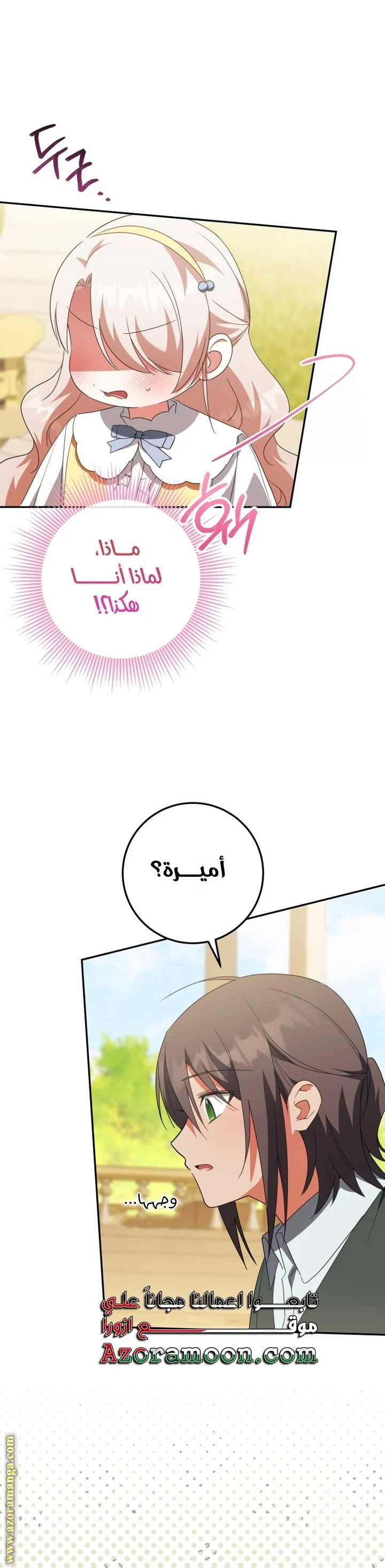 الصفحة 25