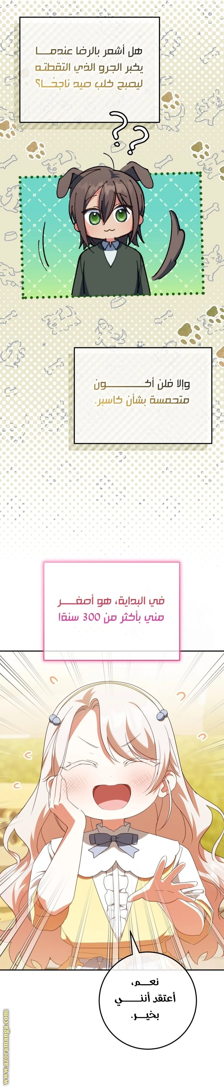 الصفحة 26