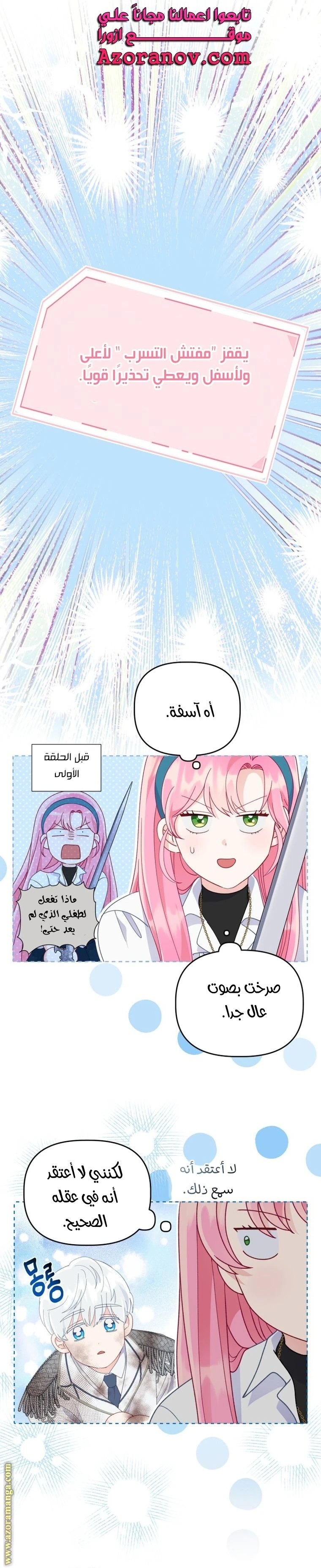 الصفحة 16