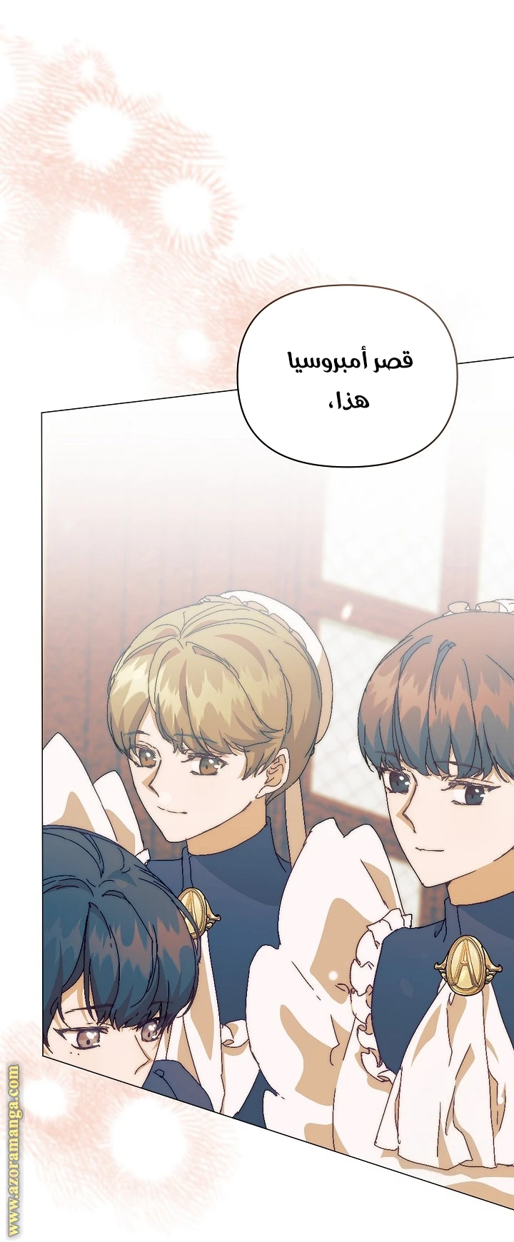 الصفحة 25