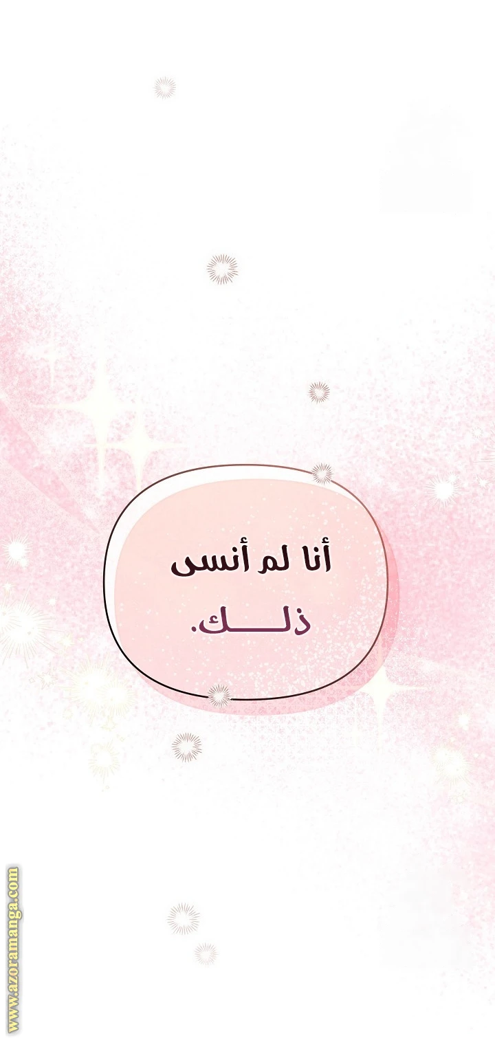 الصفحة 29