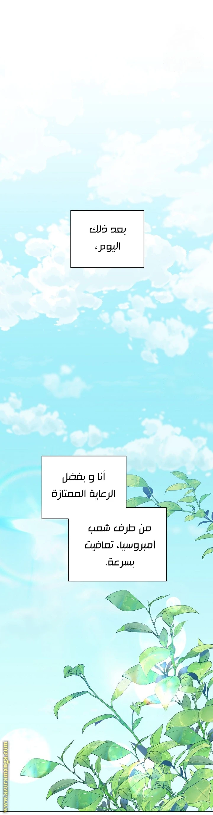 الصفحة 31