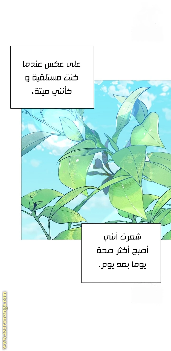 الصفحة 33